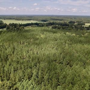 Photo #21 of SOLD property in 1055 Barker Road , Oxford, NC 13.2 acres