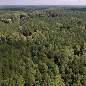 Photo #22 of 1055 Barker Road , Oxford, NC 13.2 acres