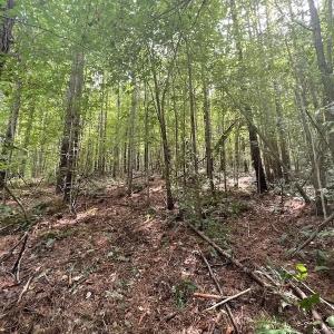 Photo #3 of SOLD property in 1055 Barker Road , Oxford, NC 13.2 acres
