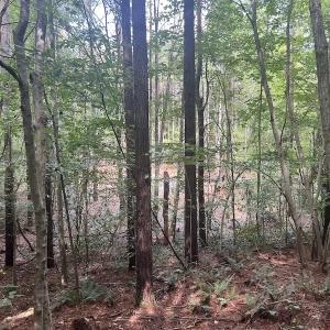 Photo #5 of SOLD property in 1055 Barker Road , Oxford, NC 13.2 acres