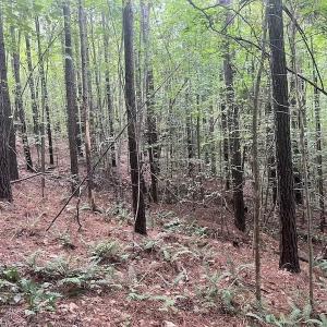 Photo #6 of SOLD property in 1055 Barker Road , Oxford, NC 13.2 acres