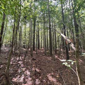 Photo #9 of 1055 Barker Road , Oxford, NC 13.2 acres