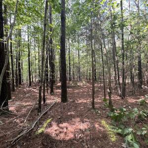 Photo #10 of 1055 Barker Road , Oxford, NC 13.2 acres