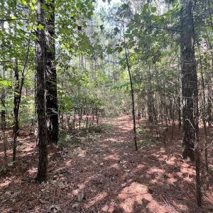 Photo #11 of 1055 Barker Road , Oxford, NC 13.2 acres