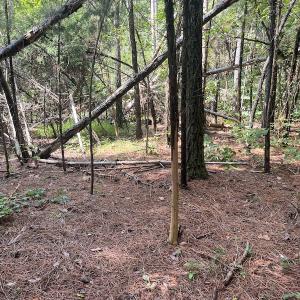 Photo #13 of 1055 Barker Road , Oxford, NC 13.2 acres