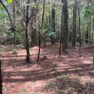 Photo #14 of 1055 Barker Road , Oxford, NC 13.2 acres