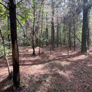 Photo #15 of 1055 Barker Road , Oxford, NC 13.2 acres