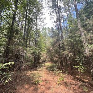 Photo #16 of 1055 Barker Road , Oxford, NC 13.2 acres