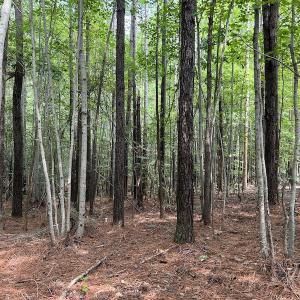 Photo #19 of 1055 Barker Road , Oxford, NC 13.2 acres