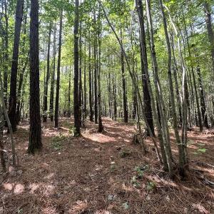 Photo #4 of 1055 Barker Road , Oxford, NC 13.2 acres