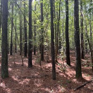 Photo #5 of 1055 Barker Road , Oxford, NC 13.2 acres