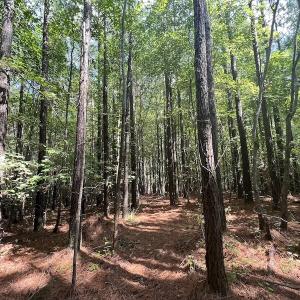 Photo #6 of SOLD property in 1055 Barker Road , Oxford, NC 13.2 acres