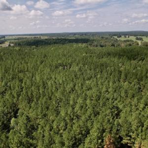 Photo #22 of 1055 Barker Road , Oxford, NC 13.2 acres