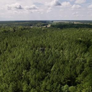 Photo #23 of SOLD property in 1055 Barker Road , Oxford, NC 13.2 acres