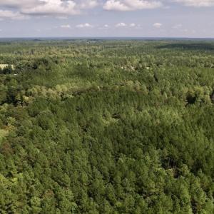 Photo #24 of 1055 Barker Road , Oxford, NC 13.2 acres