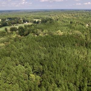 Photo #25 of 1055 Barker Road , Oxford, NC 13.2 acres