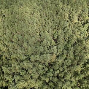 Photo #26 of 1055 Barker Road , Oxford, NC 13.2 acres