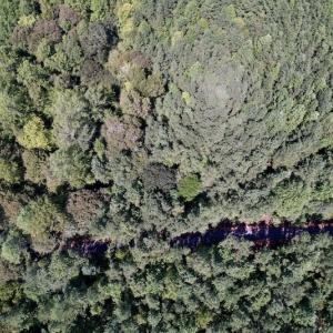 Photo #29 of 1055 Barker Road , Oxford, NC 13.2 acres