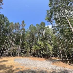 Photo #31 of 1055 Barker Road , Oxford, NC 13.2 acres