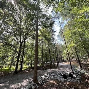 Photo #41 of 1055 Barker Road , Oxford, NC 13.2 acres
