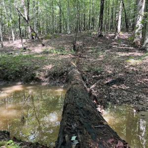 Photo #9 of SOLD property in 1055 Barker Road , Oxford, NC 13.2 acres