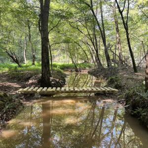 Photo #11 of SOLD property in 1055 Barker Road , Oxford, NC 13.2 acres
