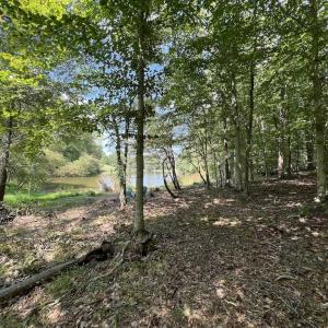 Photo #13 of SOLD property in 1055 Barker Road , Oxford, NC 13.2 acres