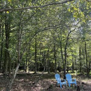 Photo #19 of SOLD property in 1055 Barker Road , Oxford, NC 13.2 acres