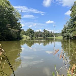Photo #20 of SOLD property in 1055 Barker Road , Oxford, NC 13.2 acres