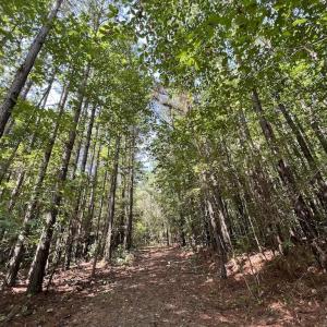 Photo #3 of SOLD property in 1055 Barker Road , Oxford, NC 13.2 acres