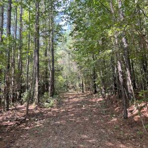 Photo #4 of SOLD property in 1055 Barker Road , Oxford, NC 13.2 acres