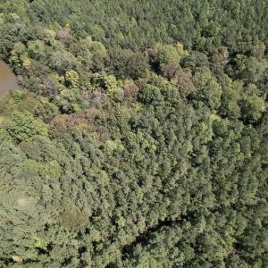 Photo #26 of SOLD property in 1055 Barker Road , Oxford, NC 13.2 acres