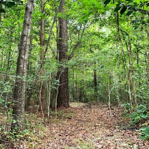 Photo #9 of Off Newville Road, Waverly, VA 150.0 acres