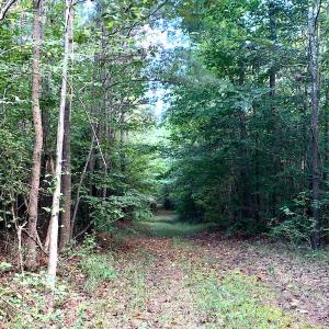 Photo #13 of Off Newville Road, Waverly, VA 150.0 acres