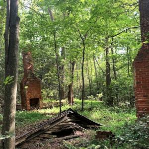 Photo #19 of Off Newville Road, Waverly, VA 150.0 acres