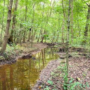 Photo #22 of Off Newville Road, Waverly, VA 150.0 acres