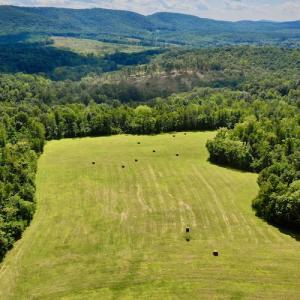 Photo #7 of SOLD property in Off Colonial Turnpike, Rocky Mount, VA 96.1 acres