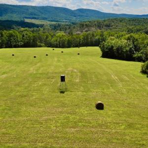 Photo #8 of SOLD property in Off Colonial Turnpike, Rocky Mount, VA 96.1 acres