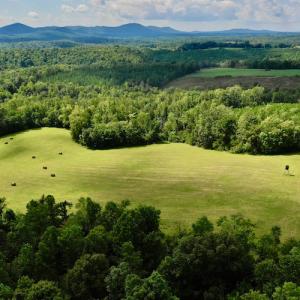 Photo #9 of SOLD property in Off Colonial Turnpike, Rocky Mount, VA 96.1 acres