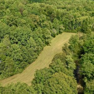 Photo #11 of SOLD property in Off Colonial Turnpike, Rocky Mount, VA 96.1 acres