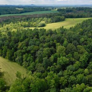 Photo #12 of SOLD property in Off Colonial Turnpike, Rocky Mount, VA 96.1 acres