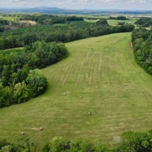 Photo #13 of SOLD property in Off Colonial Turnpike, Rocky Mount, VA 96.1 acres