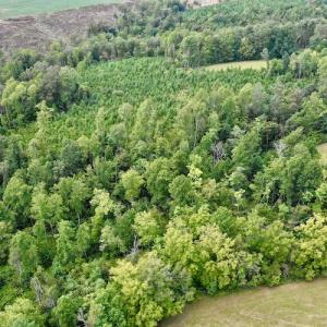 Photo #14 of SOLD property in Off Colonial Turnpike, Rocky Mount, VA 96.1 acres