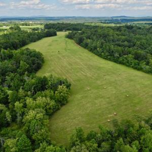 Photo #15 of SOLD property in Off Colonial Turnpike, Rocky Mount, VA 96.1 acres