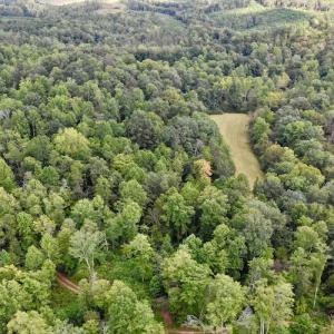 Photo #16 of SOLD property in Off Colonial Turnpike, Rocky Mount, VA 96.1 acres