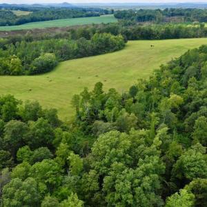 Photo #18 of SOLD property in Off Colonial Turnpike, Rocky Mount, VA 96.1 acres