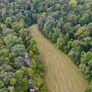 Photo #19 of SOLD property in Off Colonial Turnpike, Rocky Mount, VA 96.1 acres