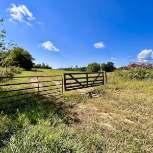 Photo #20 of SOLD property in Off Colonial Turnpike, Rocky Mount, VA 96.1 acres