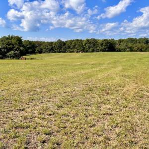 Photo #22 of SOLD property in Off Colonial Turnpike, Rocky Mount, VA 96.1 acres