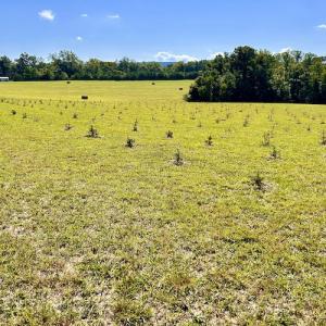 Photo #25 of SOLD property in Off Colonial Turnpike, Rocky Mount, VA 96.1 acres